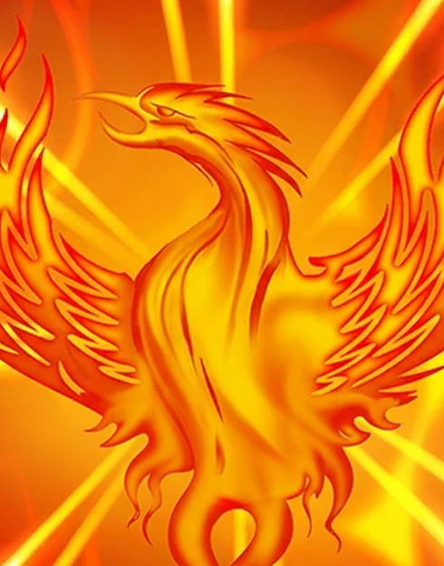 Fire Bird