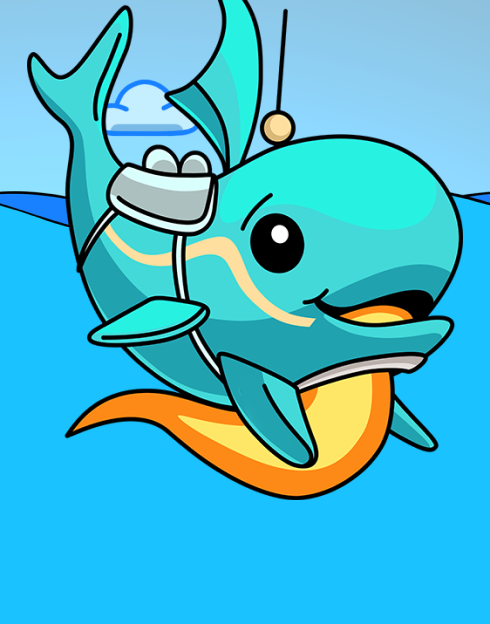 Whale Bingo
