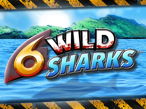 6 WILD SHARKS